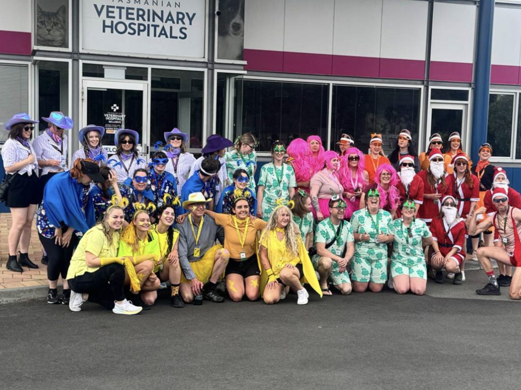 Hobart Amazing Race