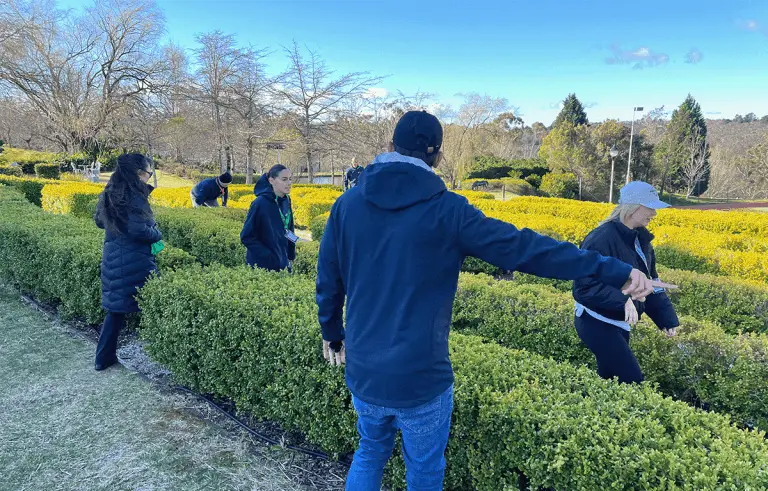 Large corporate group enjoying a nature-inspired Amazing Race team building day in the Blue Mountains