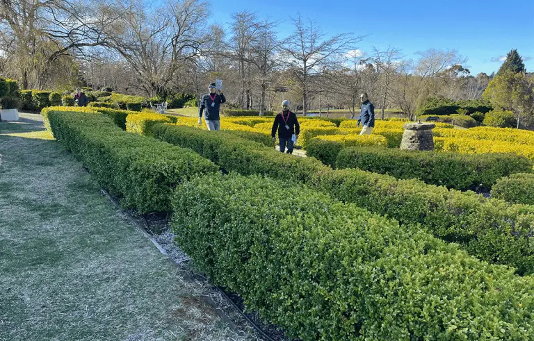 Large corporate group enjoying a nature-inspired Amazing Race team building day in the Blue Mountains