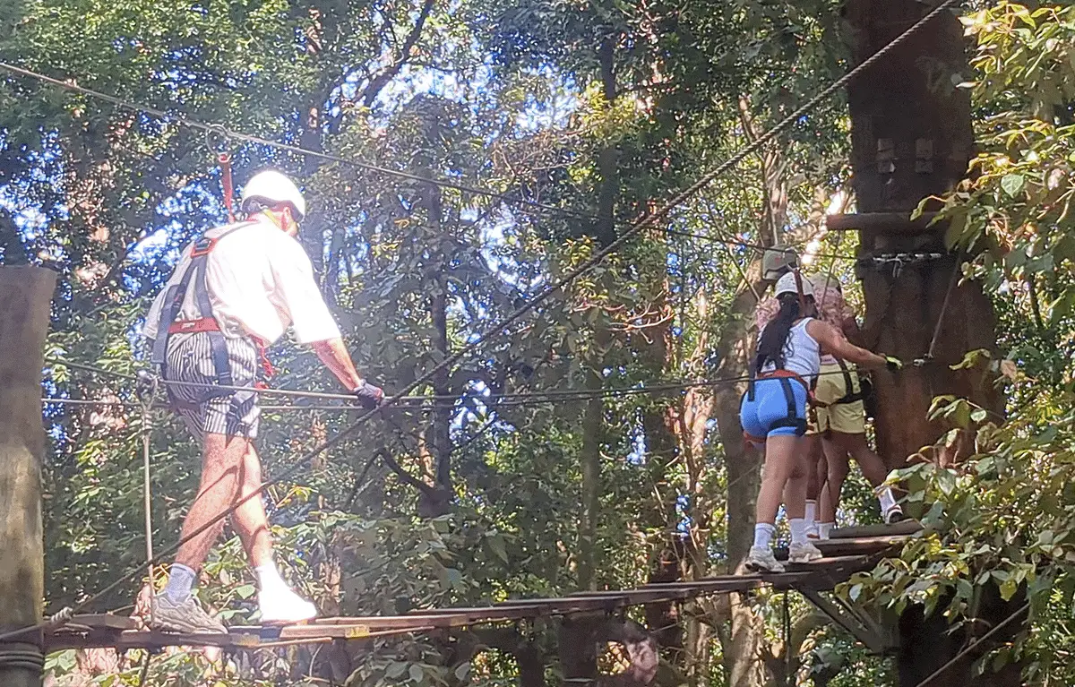 Participants on high ropes and zipline at The Big Pineapple Adventure Race