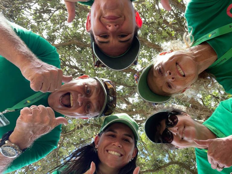 Fun Team Building Amazing Race New Zealand